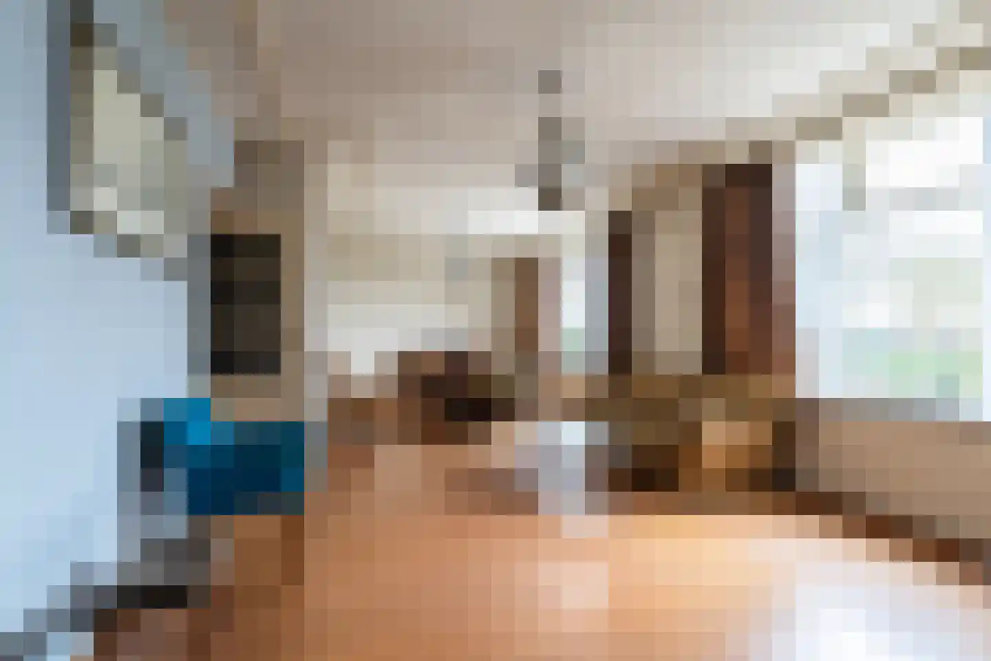 Hoge Dijk 26 Oosteind thumbnail 21