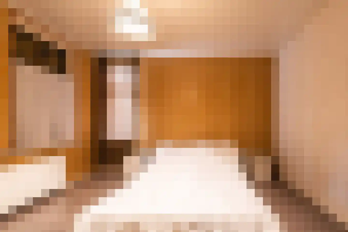 Hoge Dijk 26 Oosteind thumbnail 24