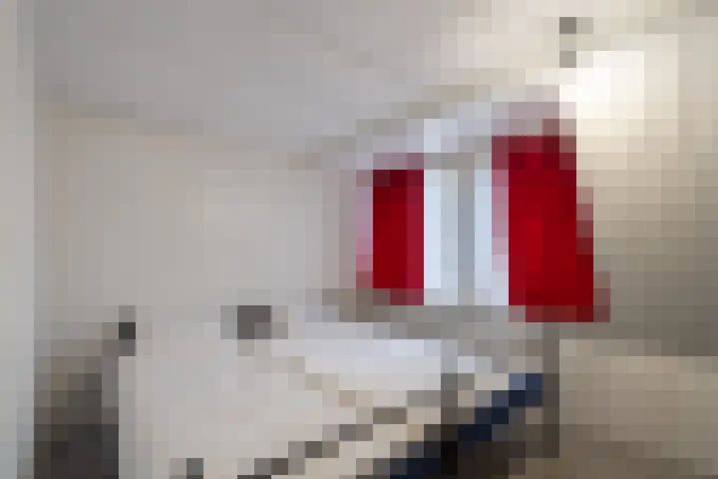 Hoge Dijk 26 Oosteind thumbnail 27