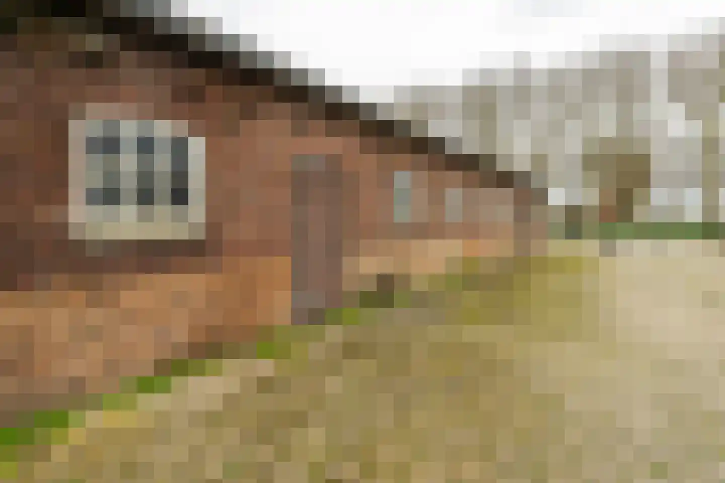 Hoge Dijk 26 Oosteind thumbnail 4