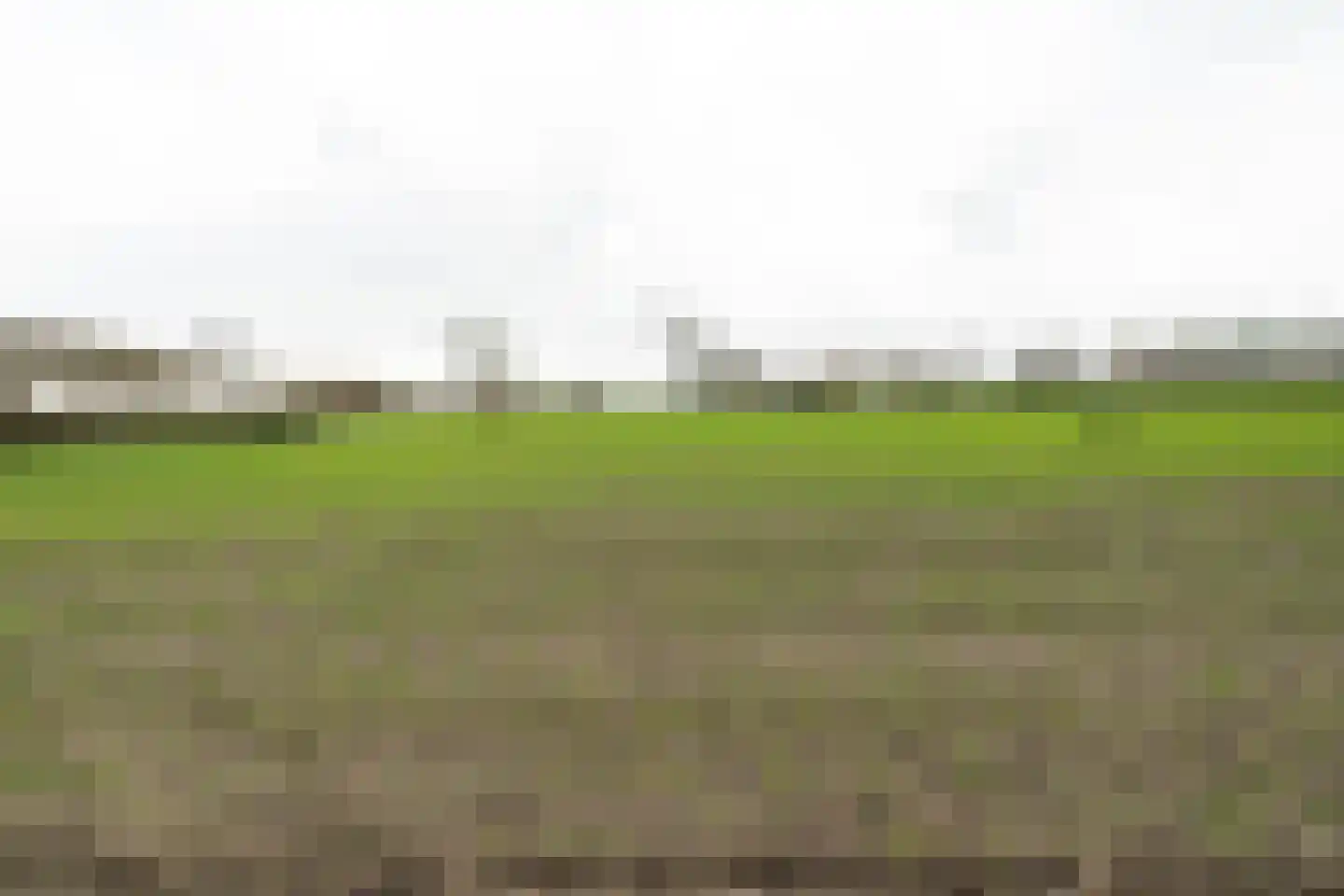 Hoge Dijk 26 Oosteind thumbnail 46