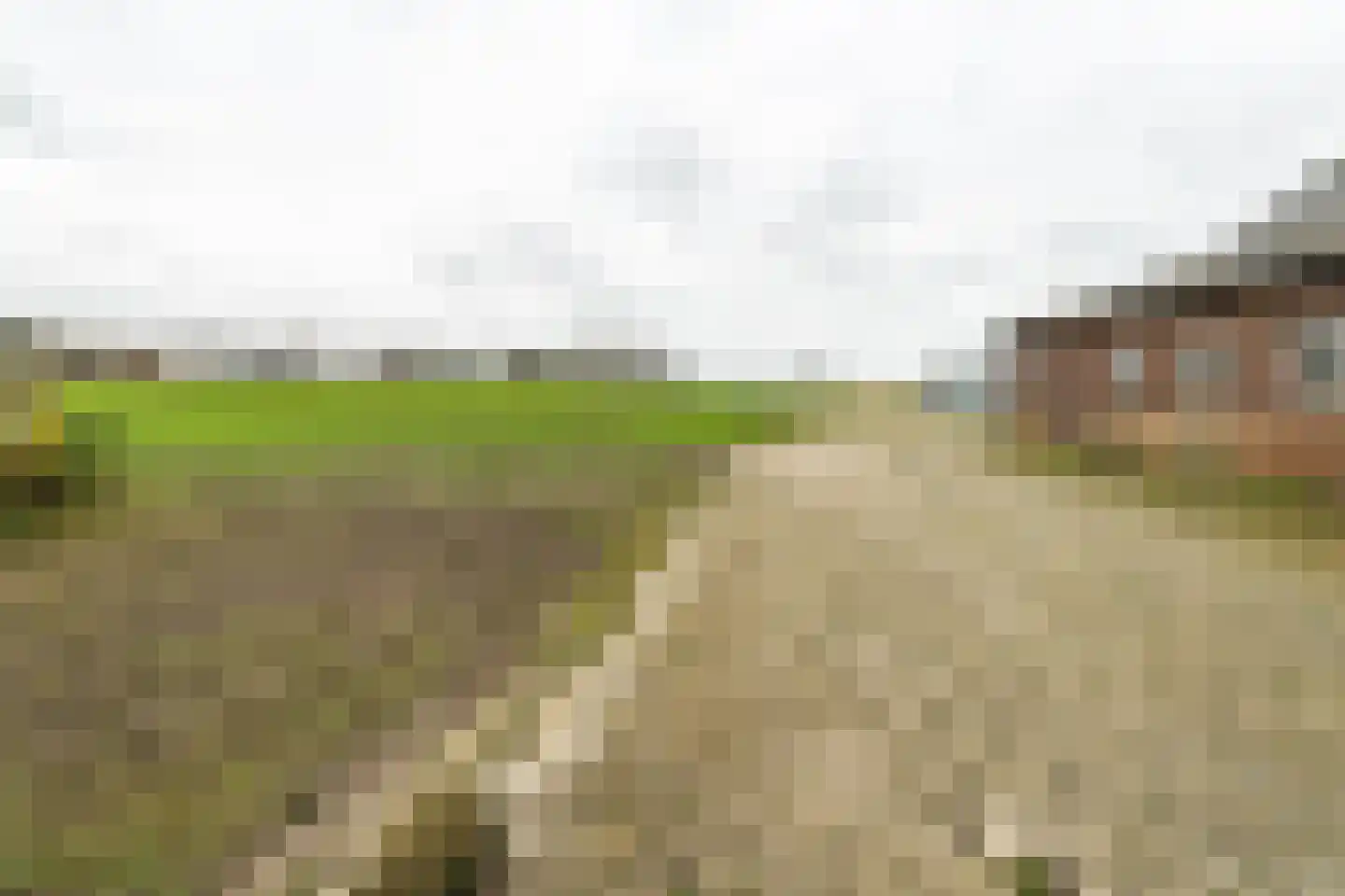 Hoge Dijk 26 Oosteind thumbnail 47
