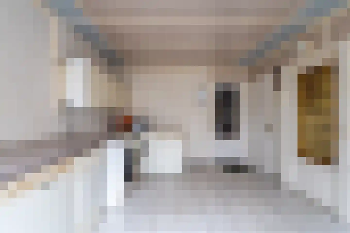 Hoge Dijk 26 Oosteind thumbnail 5