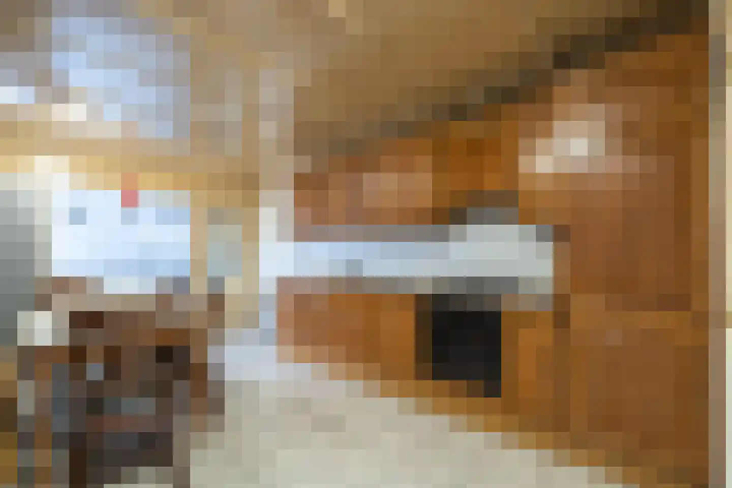 Hoge Dijk 26 Oosteind thumbnail 8