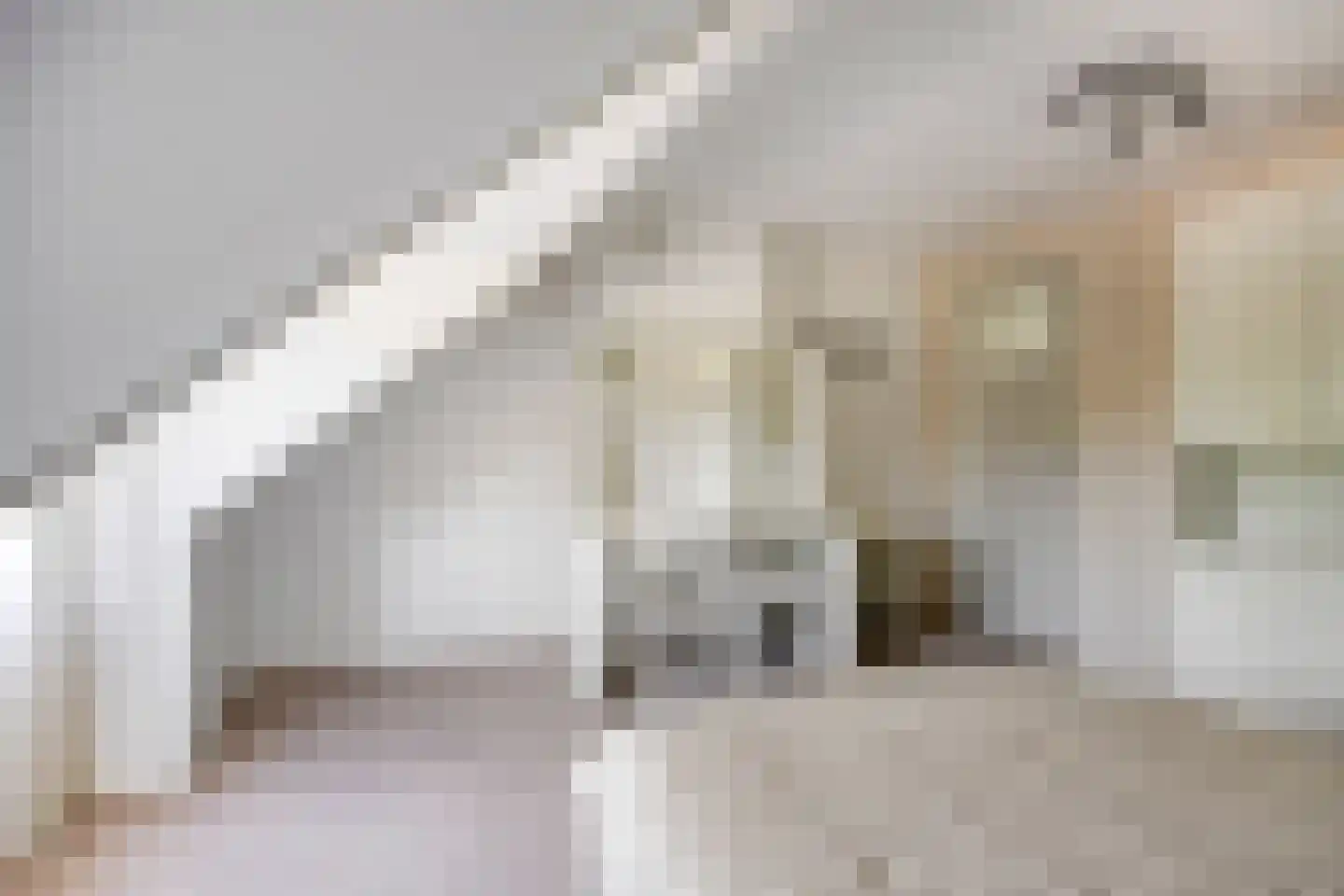 Hoge Dijk 7 Oosteind thumbnail 27