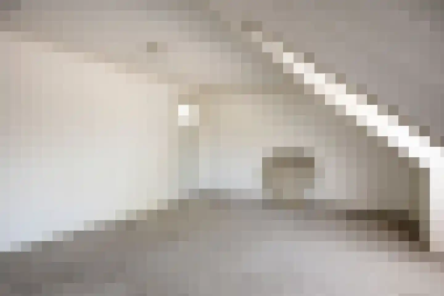 Hoge Dijk 7 Oosteind thumbnail 32