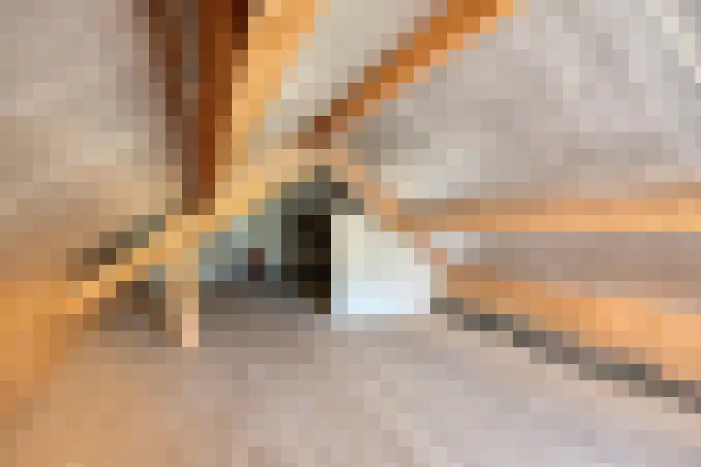 Hoge Dijk 7 Oosteind thumbnail 35