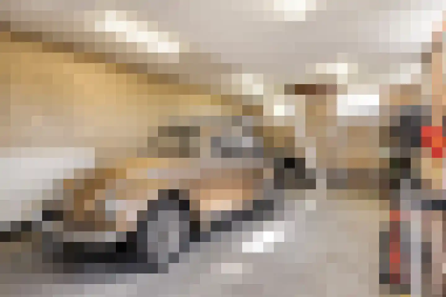 Hoge Dijk 7 Oosteind thumbnail 37
