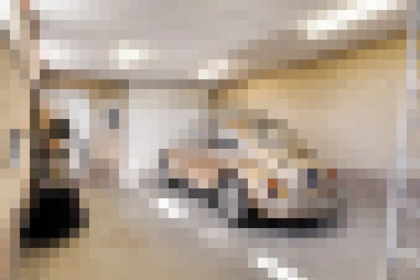 Hoge Dijk 7 Oosteind thumbnail 39