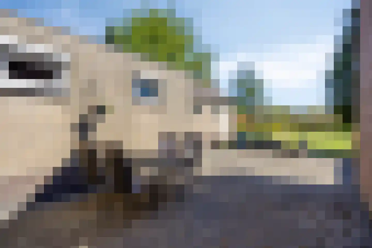 Hoge Dijk 7 Oosteind thumbnail 46