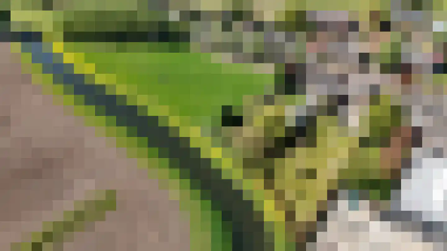 Hoge Dijk 7 Oosteind thumbnail 47