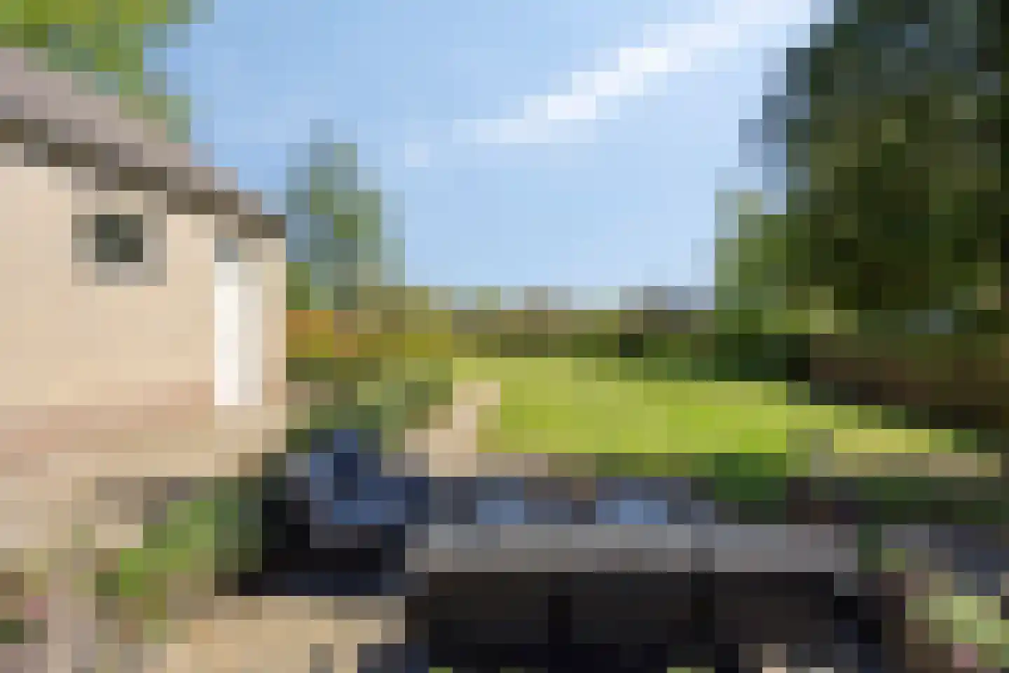 Hoge Dijk 7 Oosteind thumbnail 49