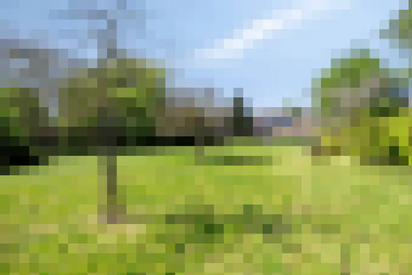 Hoge Dijk 7 Oosteind thumbnail 52