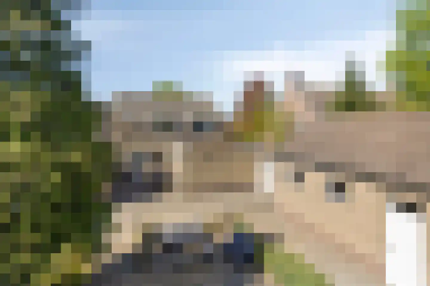 Hoge Dijk 7 Oosteind thumbnail 59