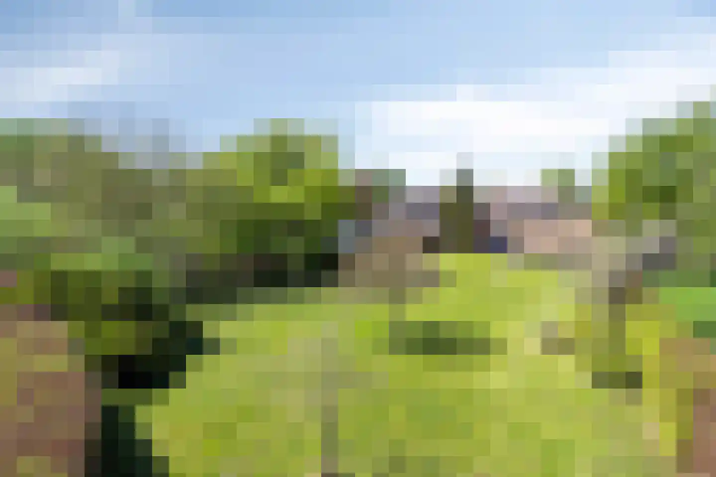 Hoge Dijk 7 Oosteind thumbnail 60