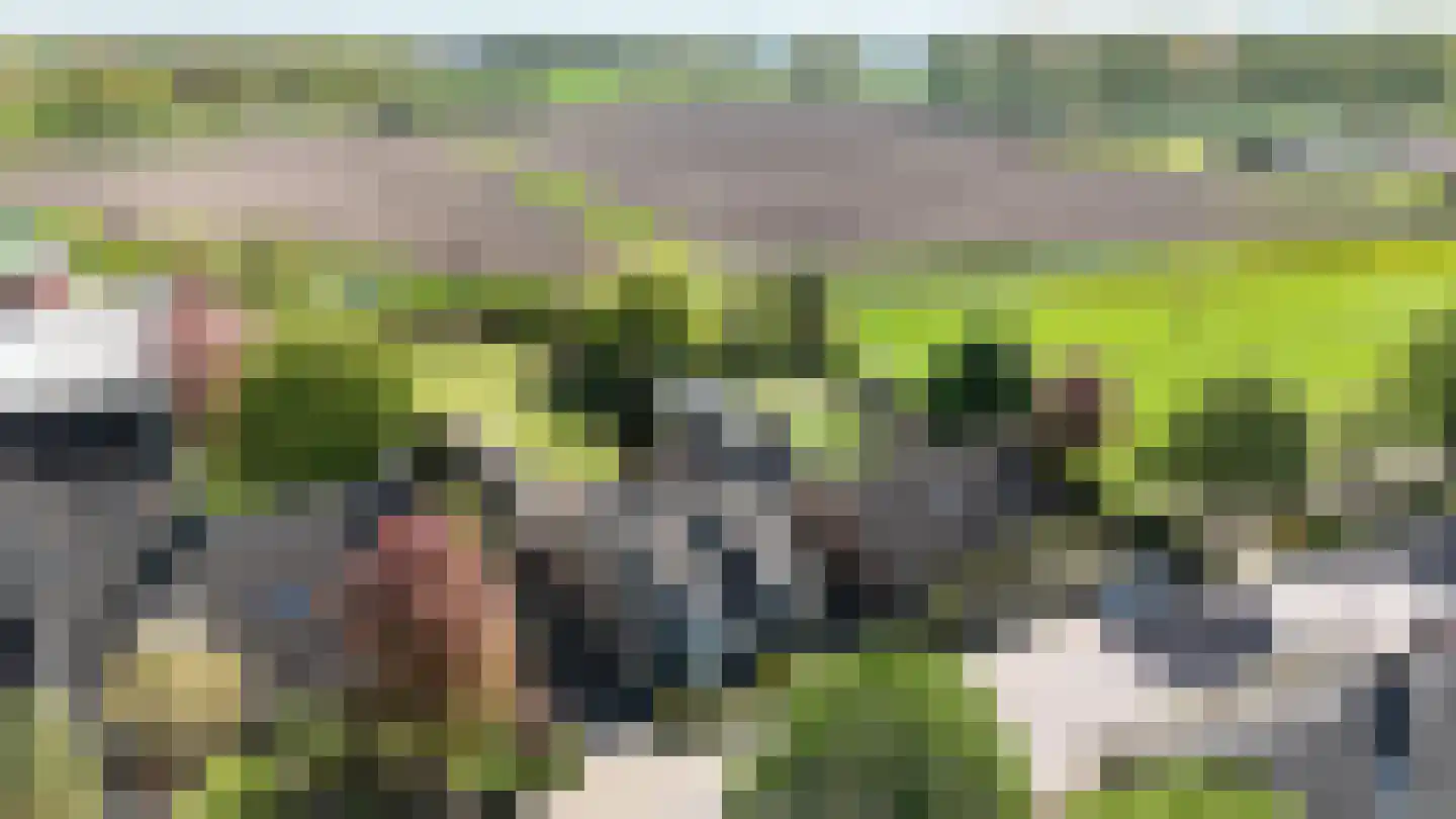 Hoge Dijk 7 Oosteind thumbnail 63