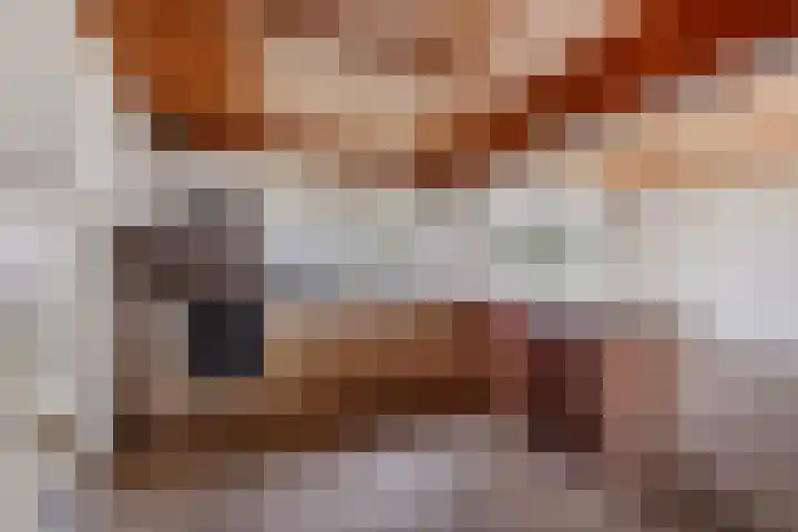 Hoge Dijk 7 Sintjohannesga thumbnail 11