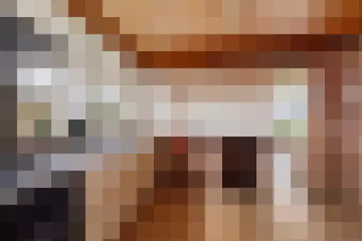 Hoge Dijk 7 Sintjohannesga thumbnail 12