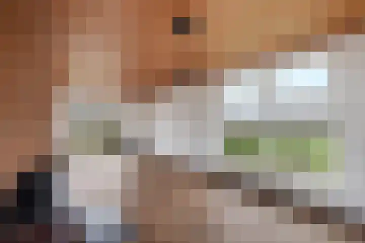 Hoge Dijk 7 Sintjohannesga thumbnail 15