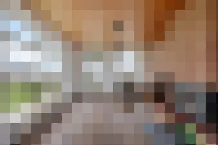 Hoge Dijk 7 Sintjohannesga thumbnail 16