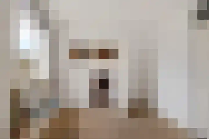 Hoge Dijk 7 Sintjohannesga thumbnail 21