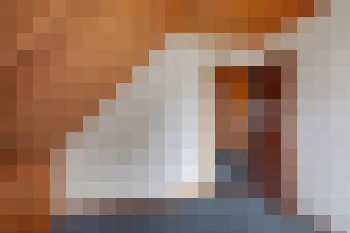 Hoge Dijk 7 Sintjohannesga thumbnail 30