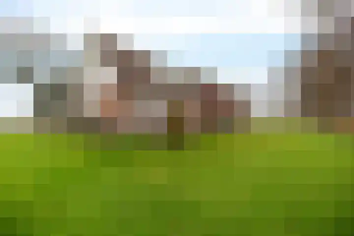 Hoge Dijk 7 Sintjohannesga thumbnail 34