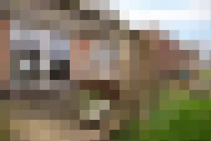 Hoge Dijk 7 Sintjohannesga thumbnail 35