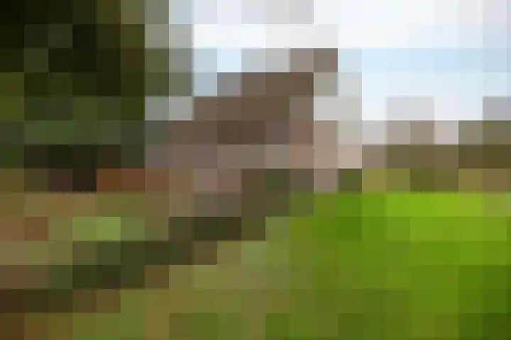 Hoge Dijk 7 Sintjohannesga thumbnail 4