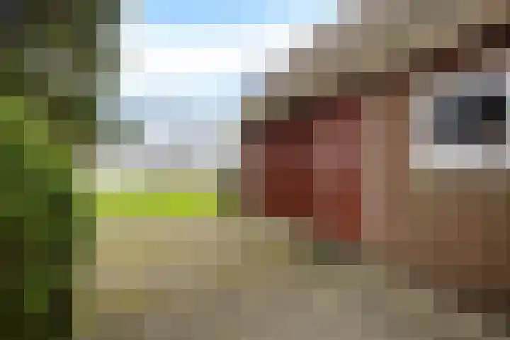 Hoge Dijk 7 Sintjohannesga thumbnail 40