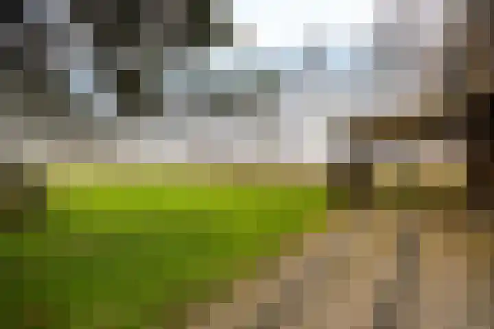 Hoge Dijk 7 Sintjohannesga thumbnail 41