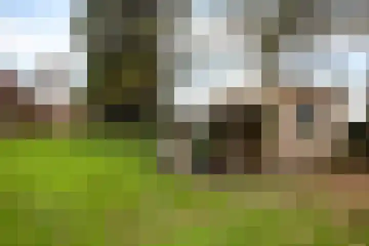 Hoge Dijk 7 Sintjohannesga thumbnail 42