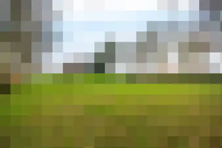 Hoge Dijk 7 Sintjohannesga thumbnail 43