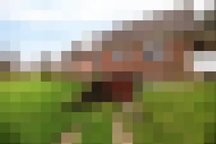 Hoge Dijk 7 Sintjohannesga thumbnail 44