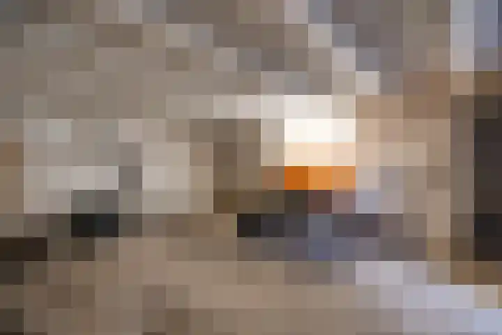 Hoge Dijk 7 Sintjohannesga thumbnail 45