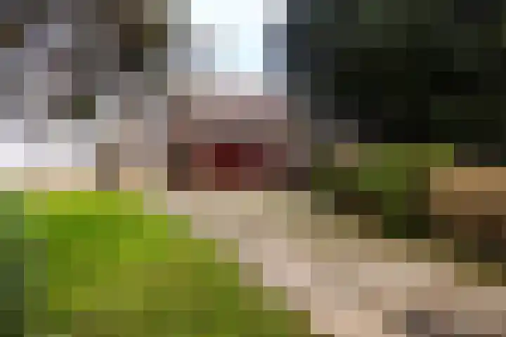 Hoge Dijk 7 Sintjohannesga thumbnail 46