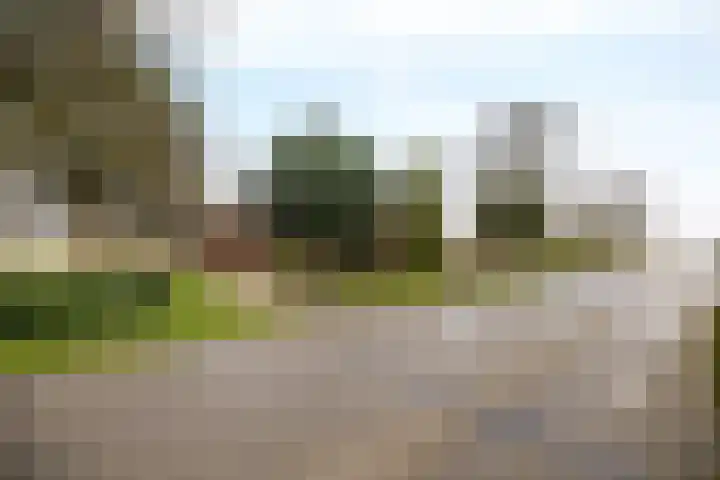 Hoge Dijk 7 Sintjohannesga thumbnail 47
