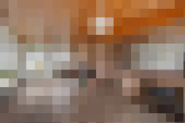 Hoge Dijk 7 Sintjohannesga thumbnail 5