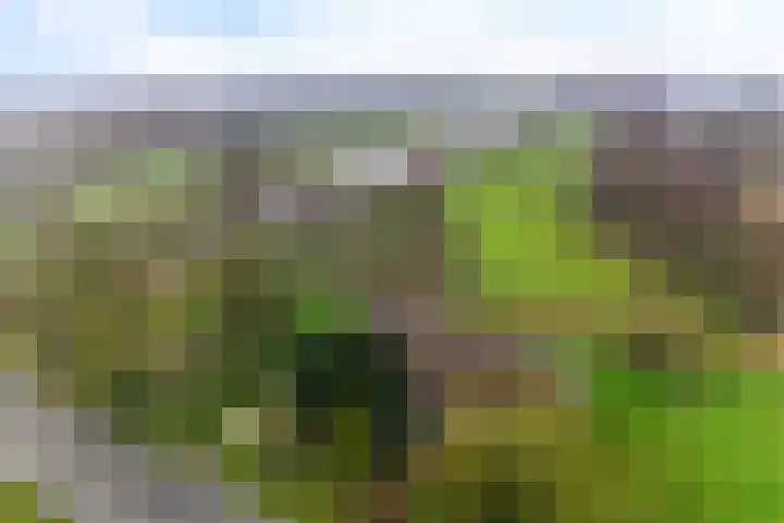 Hoge Dijk 7 Sintjohannesga thumbnail 50