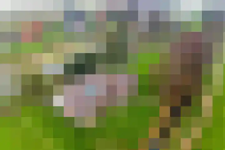 Hoge Dijk 7 Sintjohannesga thumbnail 6