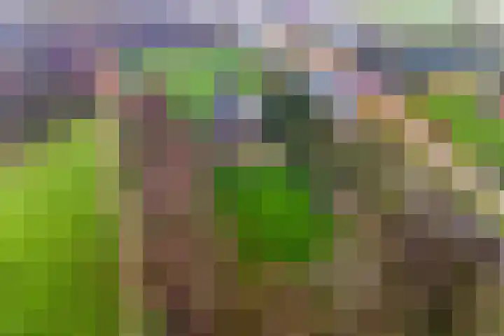 Hoge Dijk 7 Sintjohannesga thumbnail 7