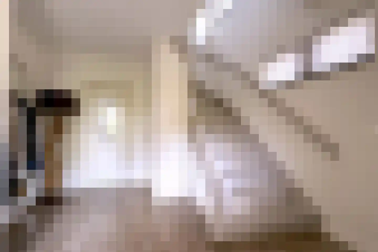 Hoge Dries 10 Veghel thumbnail 11