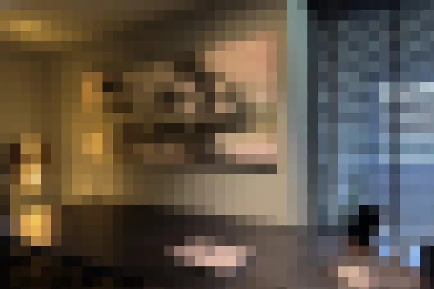 Hoge Dries 10 Veghel thumbnail 22