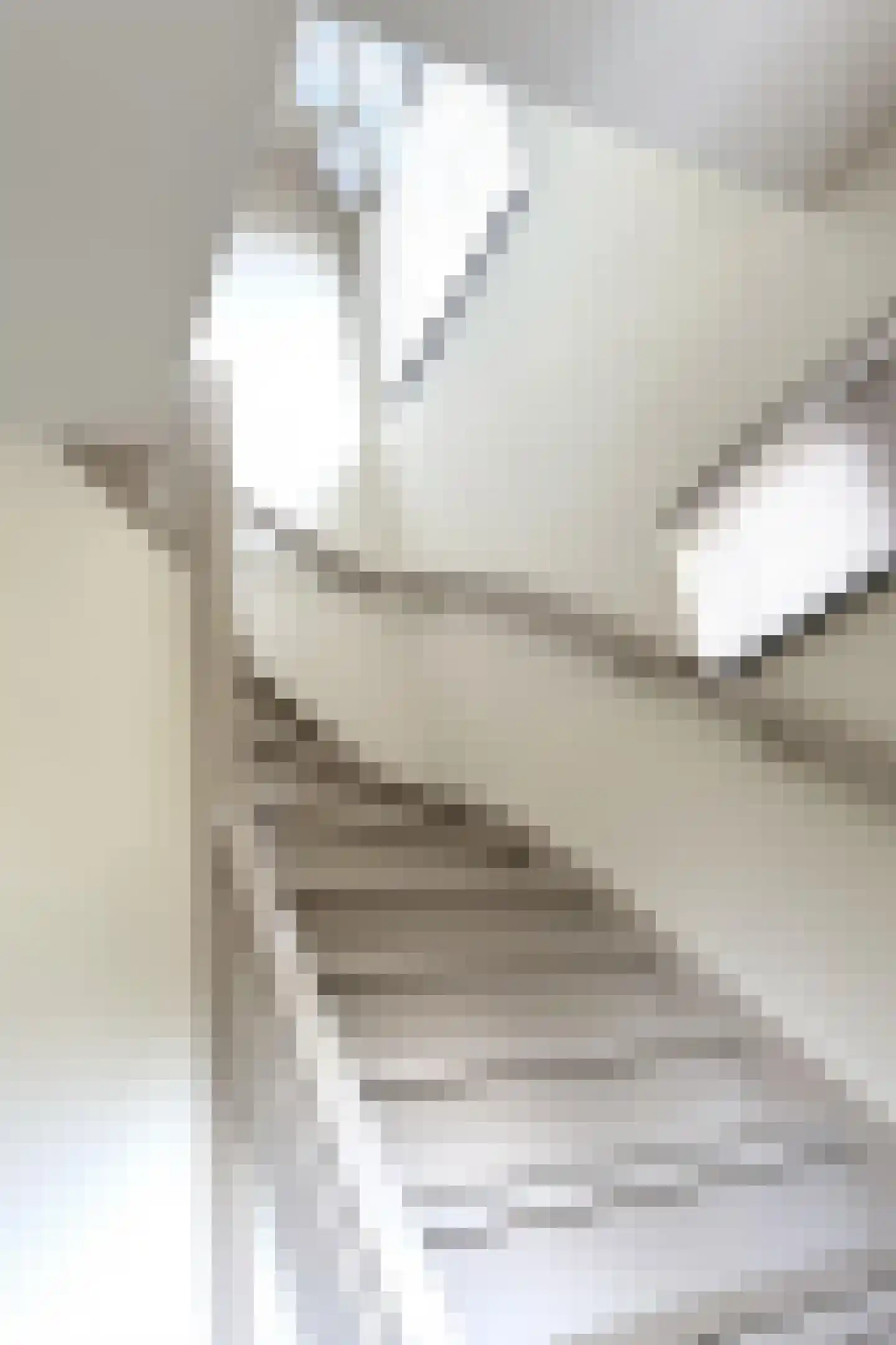 Hoge Dries 10 Veghel thumbnail 24