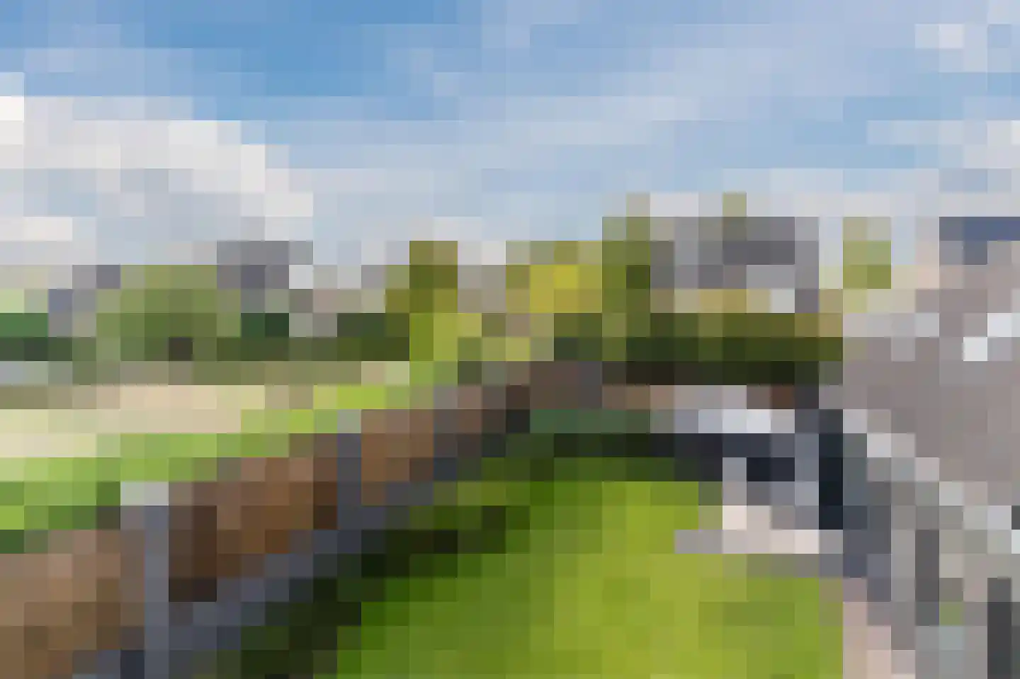 Hoge Dries 10 Veghel thumbnail 28