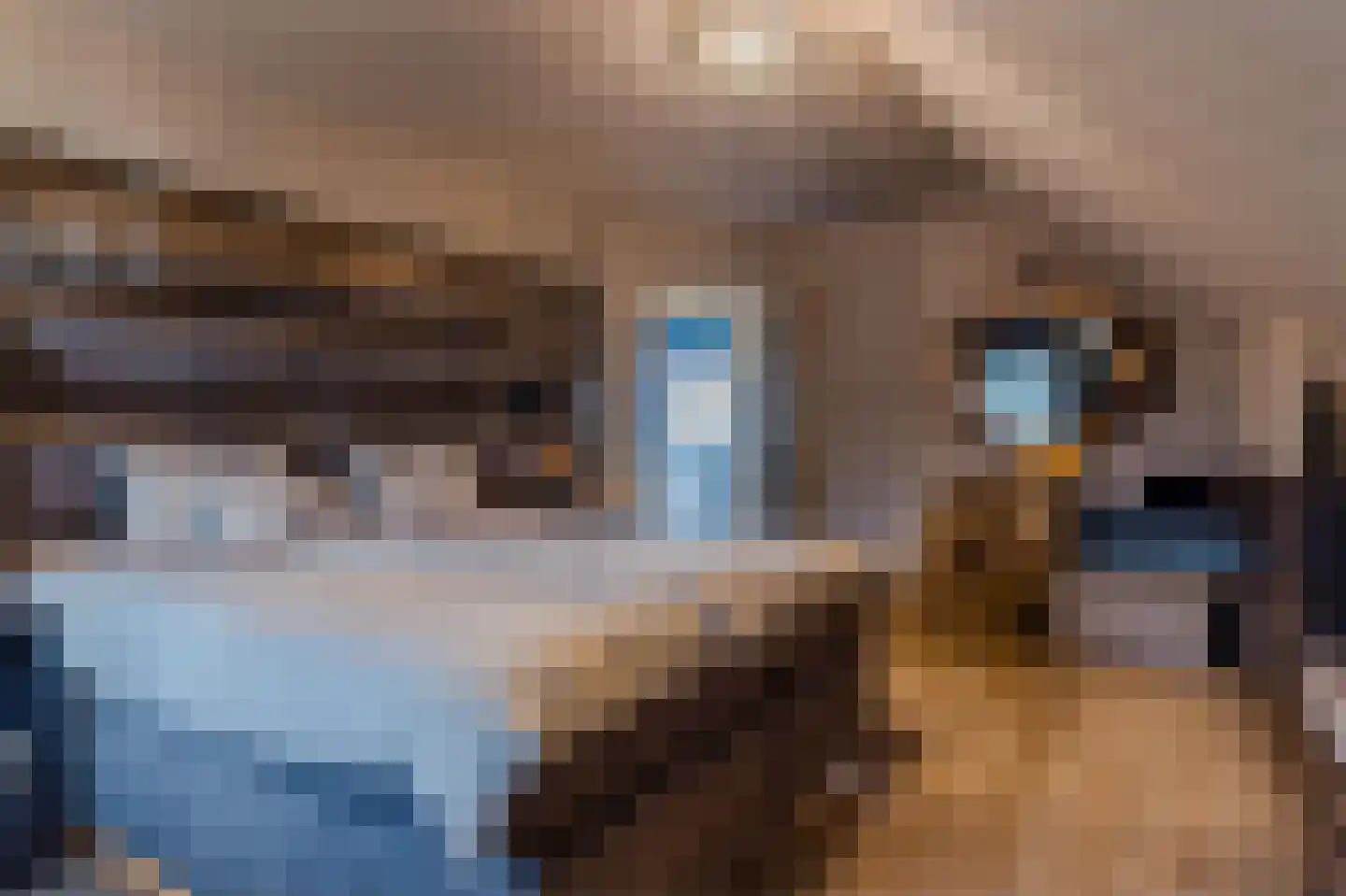 Hoge Dries 10 Veghel thumbnail 30