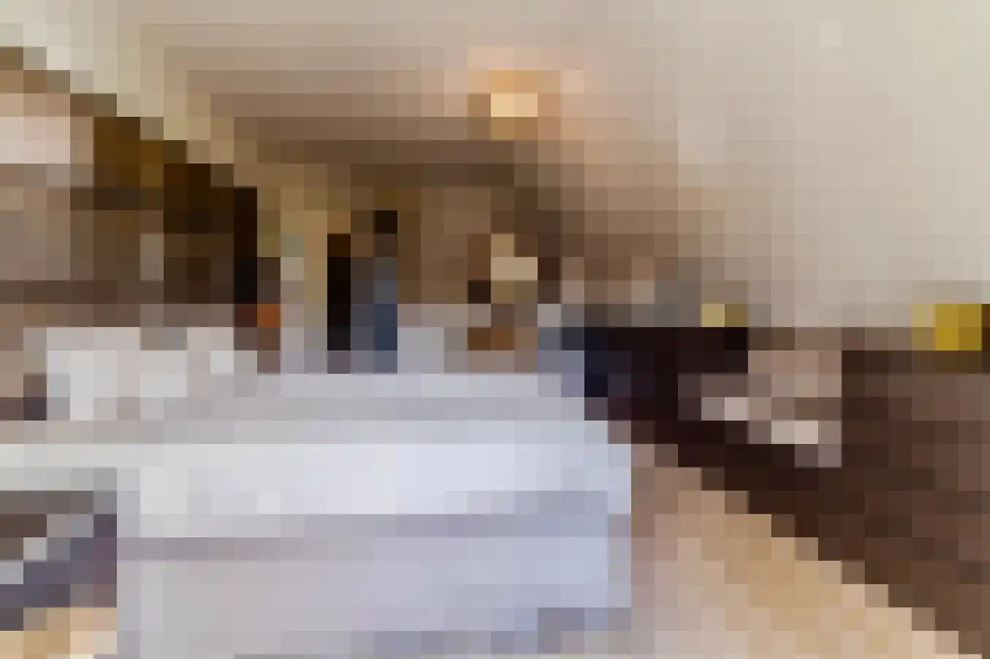 Hoge Dries 10 Veghel thumbnail 31
