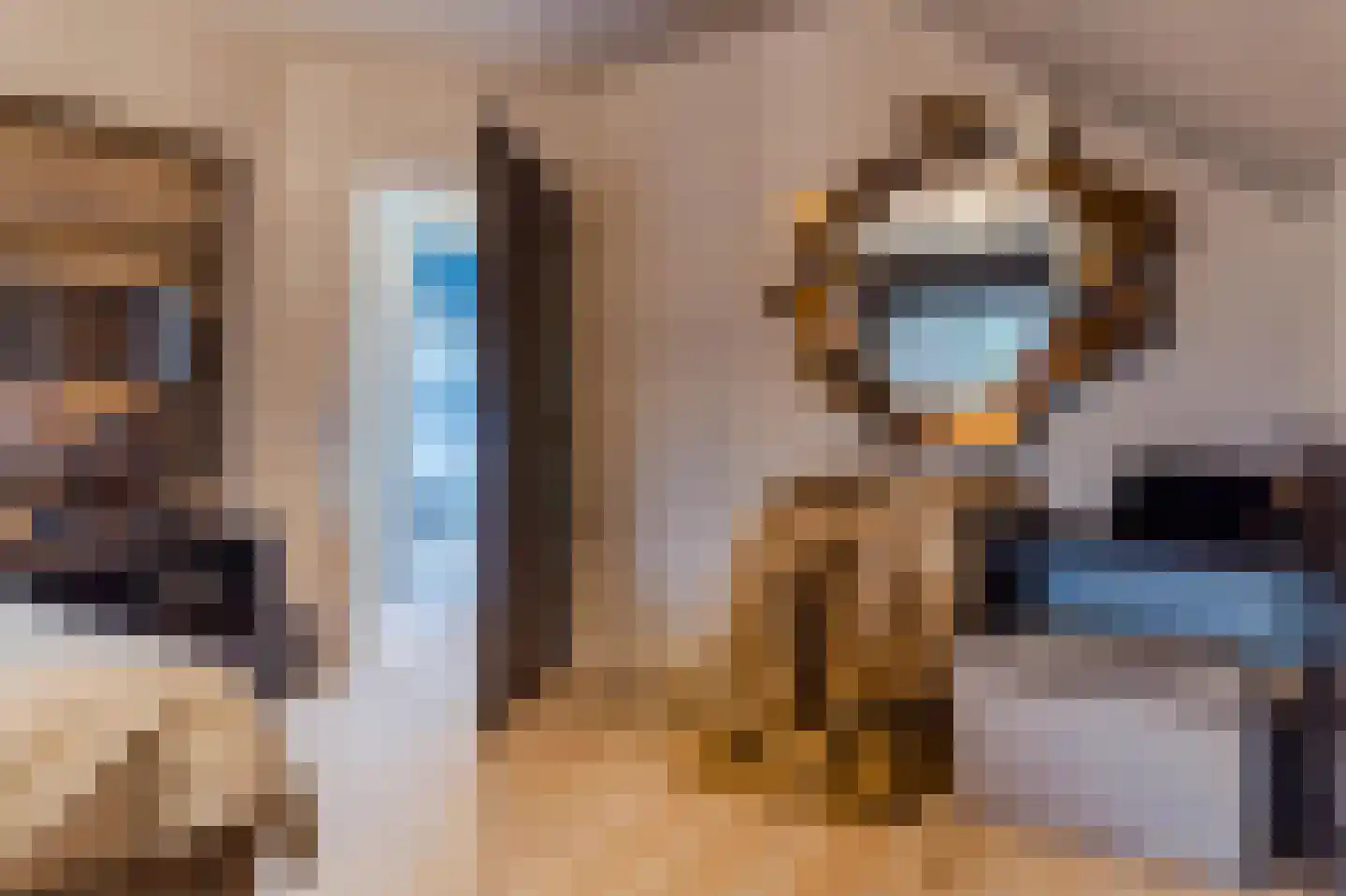 Hoge Dries 10 Veghel thumbnail 32