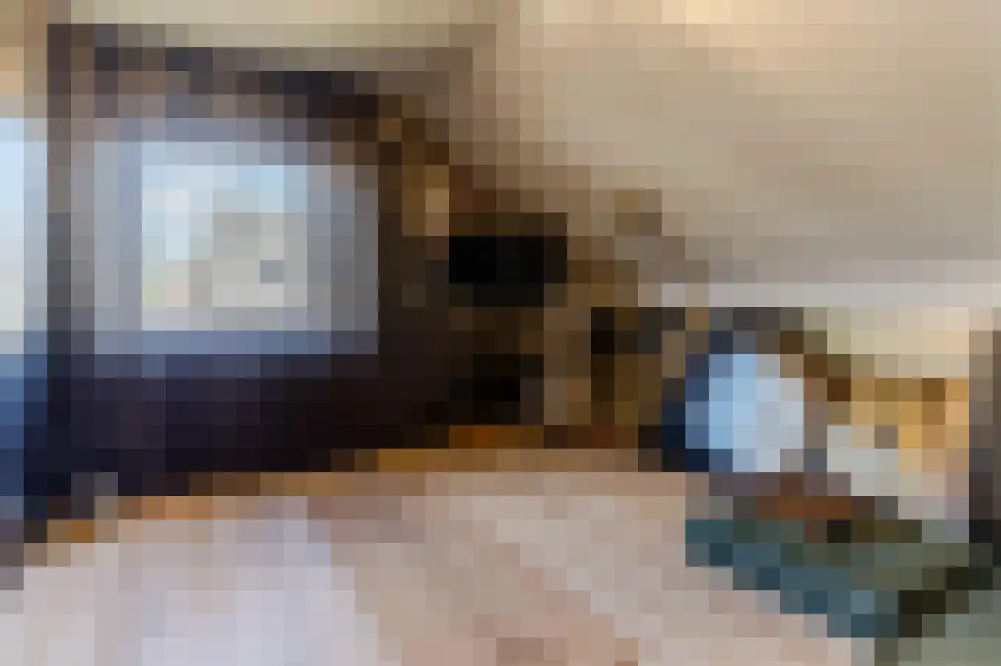 Hoge Dries 10 Veghel thumbnail 34
