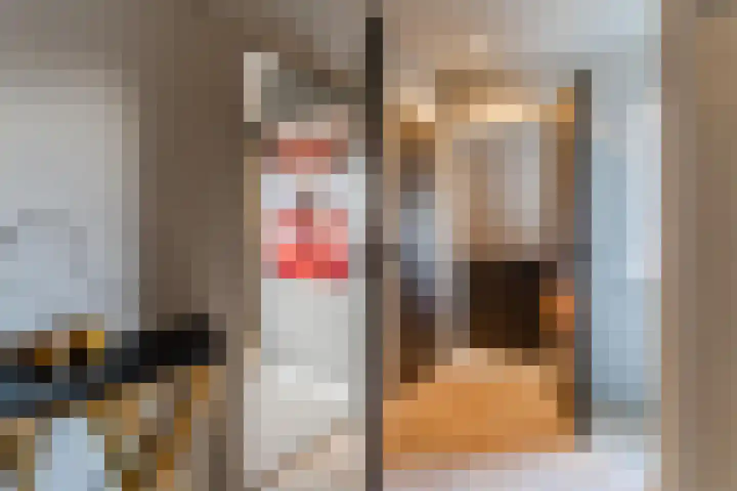 Hoge Dries 10 Veghel thumbnail 39